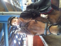 /album/fotogalerij/a20120616-105658-jpg/