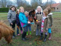 /album/fotogalerij/a01042011010-jpg/