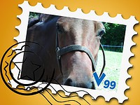 /album/fotogalerij/astrid-jpg/