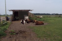 /album/fotogalerij/dsc01205-jpg/