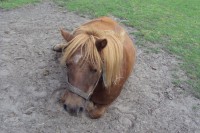 /album/fotogalerij/dsc01209-jpg/