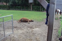 /album/fotogalerij/dsc01211-jpg/