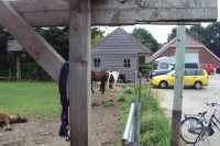 /album/fotogalerij/dsc01212-jpg/