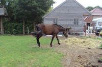 /album/fotogalerij/dsc01210-jpg/