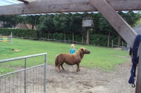 /album/fotogalerij/dsc01213-jpg/