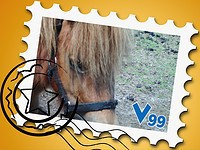 /album/fotogalerij/saartje-jpg/